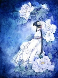 纨绔与平民2